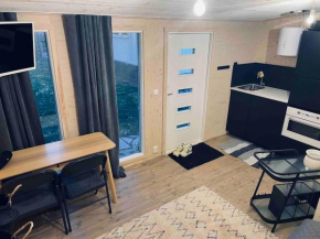 Trevligt minihus mitt i centrum Välkommen till 14b, Falkenberg